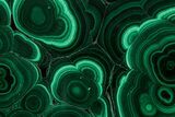 Flowery Polished Malachite Slab - DR Congo #350839-1